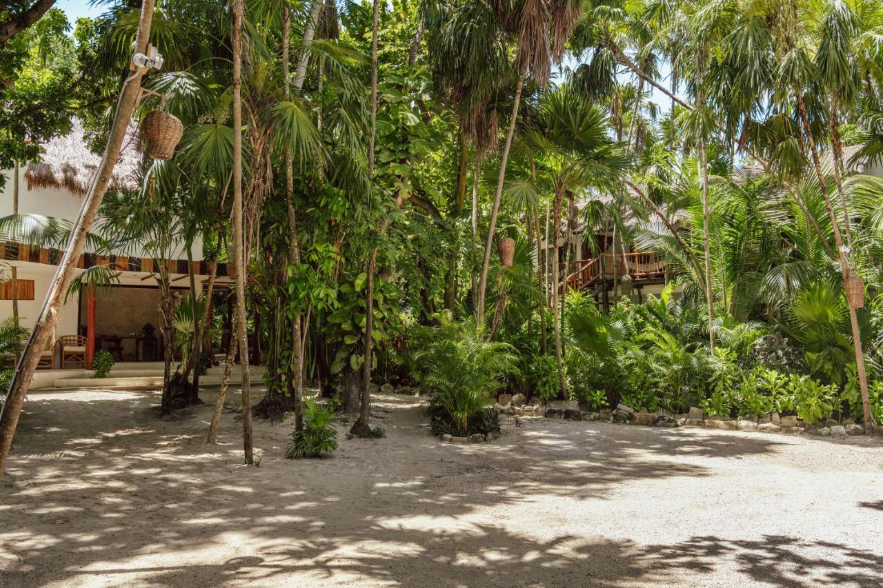 Dos Ceibas Tulum - Massage & Yoga Inclusive Hotel Luaran gambar