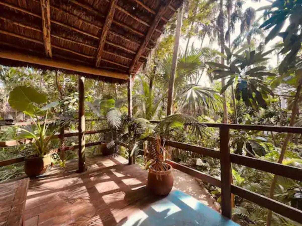 Dos Ceibas Tulum - Massage & Yoga Inclusive Hotel Luaran gambar